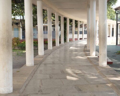 Campus Glimpses (10)