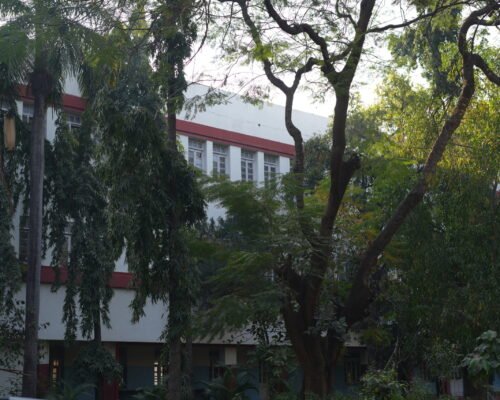 Campus Glimpses (15)